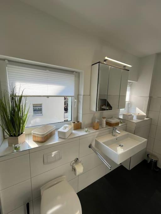 Komfortable Ferienwohnung In Halle-Kroellwitz Halle  Zewnętrze zdjęcie